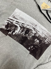 Load image into Gallery viewer, Feedlot Frenzy Hoodie
